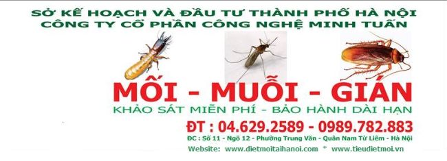 Công ty diệt côn trùng Hà Nội Minh Tuấn