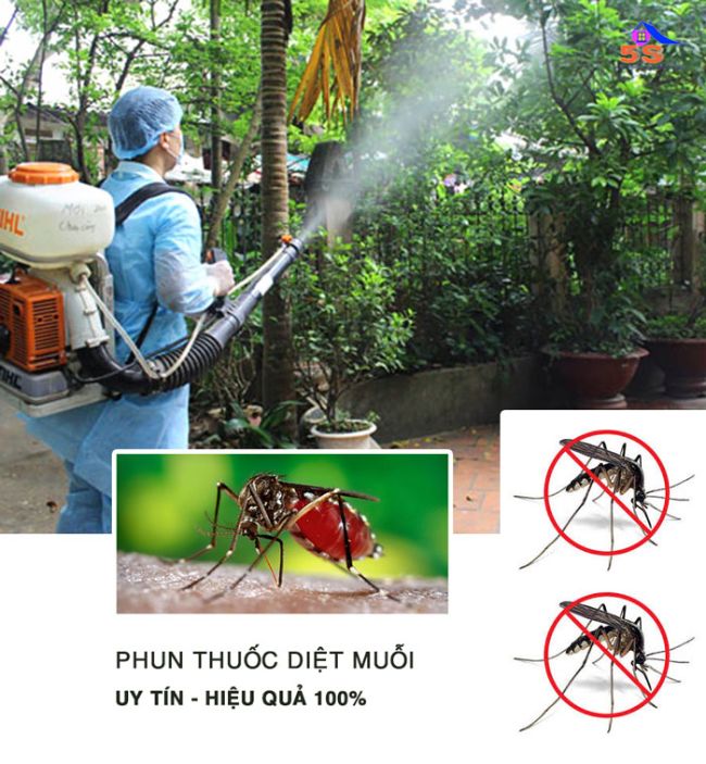 Dịch vụ diệt côn trùng tại Đà Nẵng Diệt côn trùng 5s