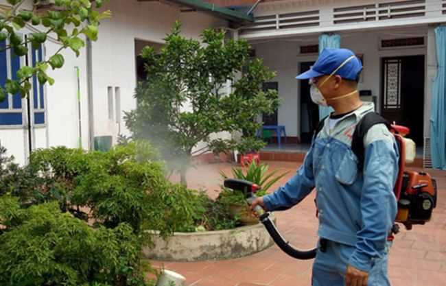 Dịch vụ diệt côn trùng tại Đà Nẵng Hải Triều