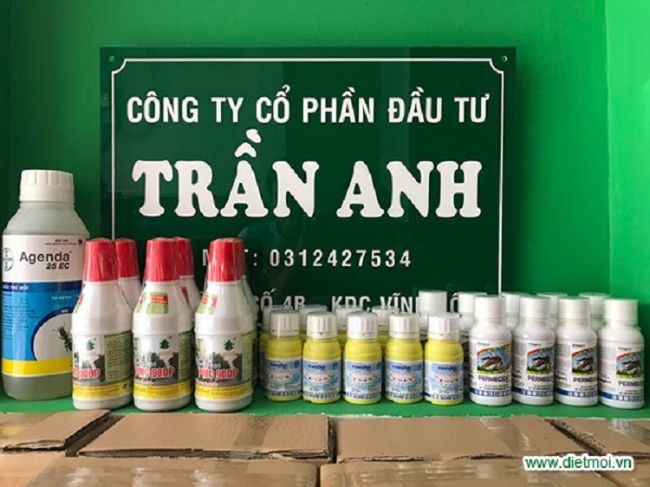 Dịch vụ diệt côn trùng tại Đà Nẵng Trần Anh