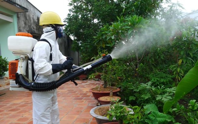 Dịch vụ diệt côn trùng tại Đà Nẵng Viethomecare
