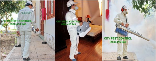 Dịch vụ diệt côn trùng TPHCM City Pest Control