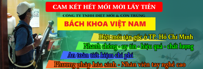 Dịch vụ diệt mối tận gốc Hà Nội Bách Khoa