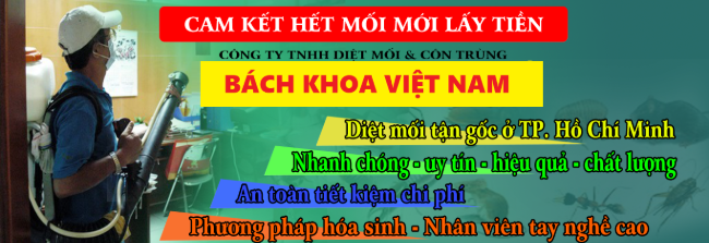 Dịch vụ diệt mối tận gốc TPHCM Bách Khóa Việt Nam