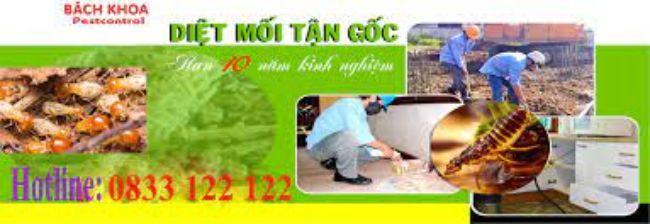Dịch vụ diệt mối tận gốc TPHCM Bách Khoa Việt Nam