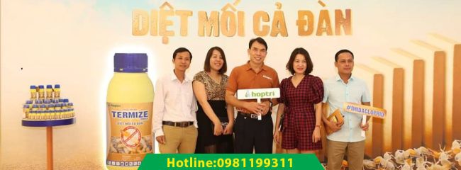 Dịch vụ diệt mối tận gốc TPHCM Trần Anh