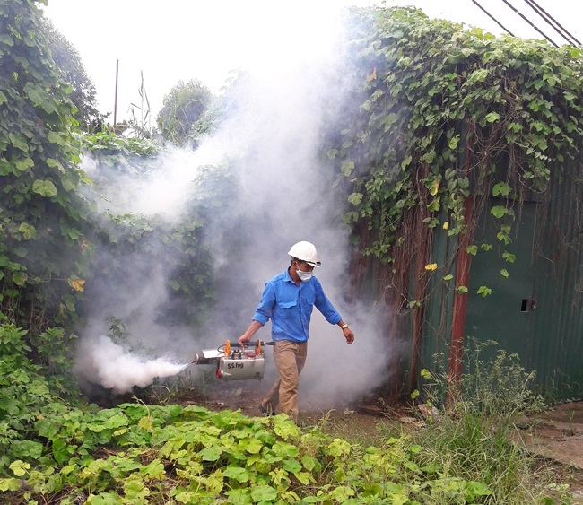 Đơn Vị Cung Cấp Dịch Vụ Diệt Côn Trùng tại Hà Nội | Ảnh từ 24h Pest Control 