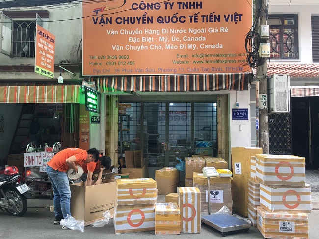 Vận chuyển thú cưng quốc tế | Ảnh từ Công Ty Tiến Việt Express – Tân Bình