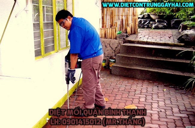 Công ty diệt mối quận Bình Thạnh | Nguồn ảnh: Công ty Việt Thành