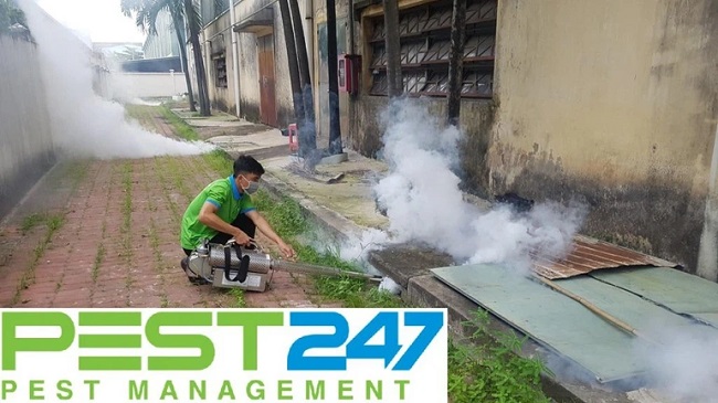 Công ty diệt mối PEST247 – GFC