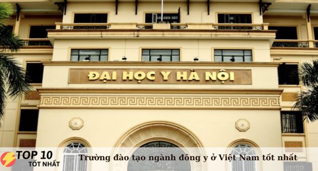 Đại học Y Hà Nội