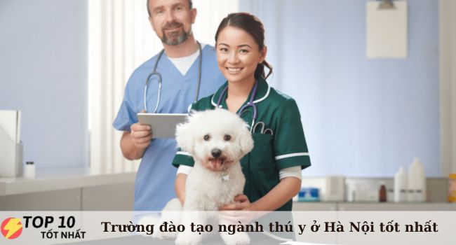 Top 6 trường đào tạo ngành thú y ở Hà Nội tốt nhất